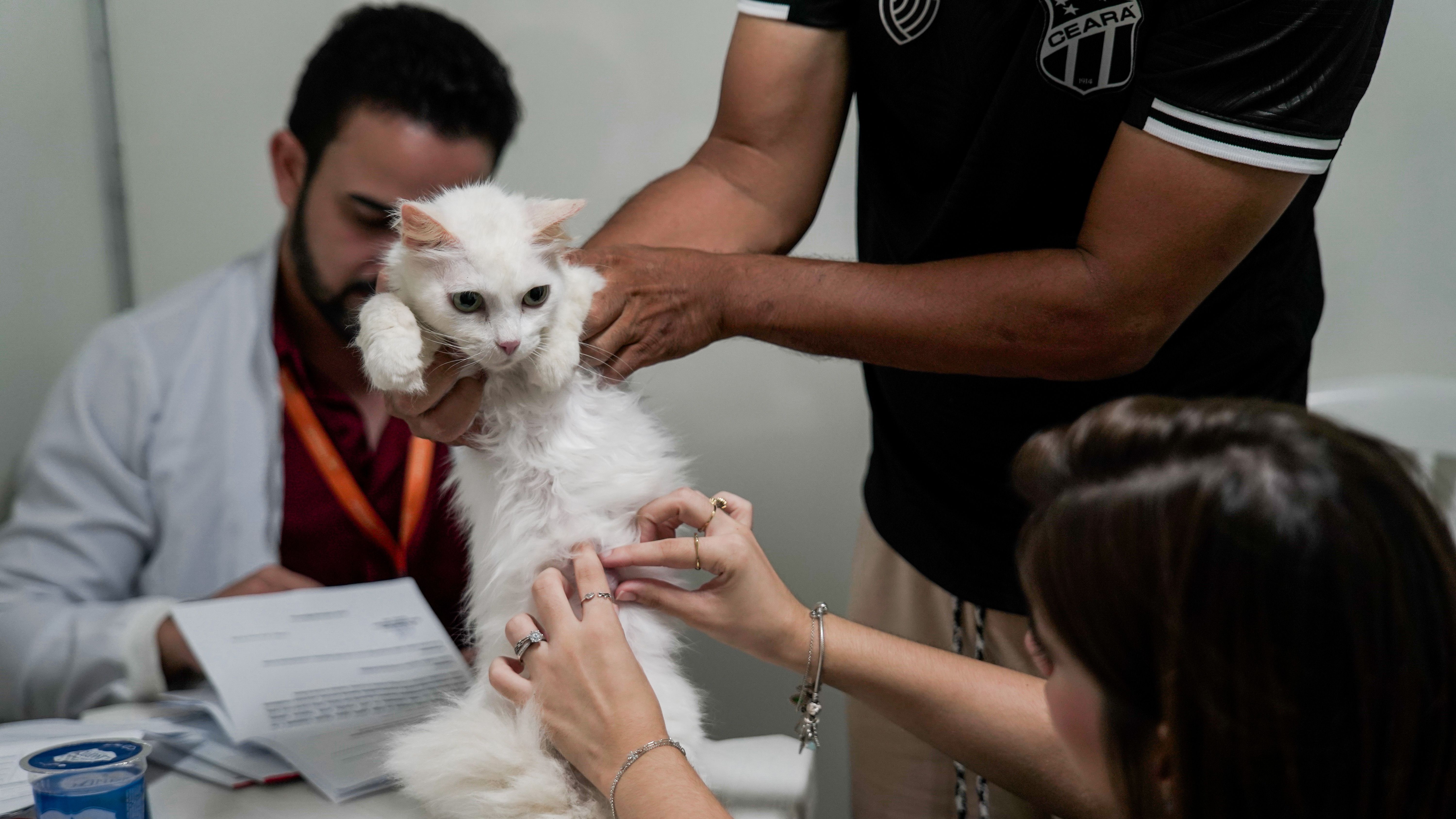 A unidade funciona das 7h às 16h, de terça-feira a sábado